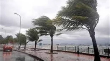 تحذيرات الأرصاد.. ظواهر جوية تسيطر على طقس السبت 21 فبراير بجميع المحافظات